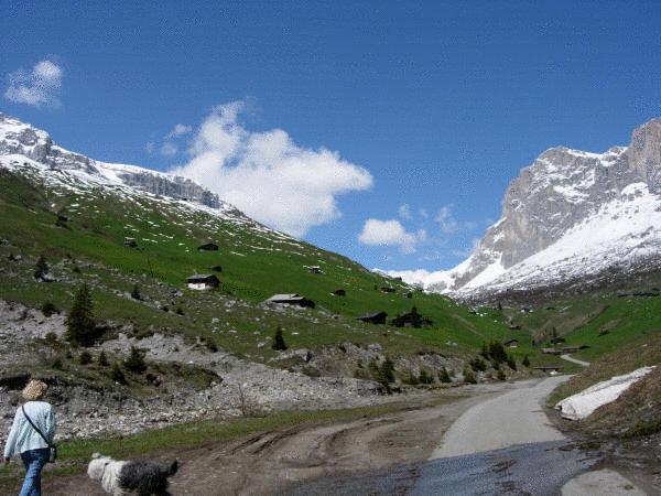 Hotel Madrisajoch Sankt Antönien Buitenkant foto